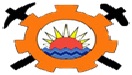 nasrsalines